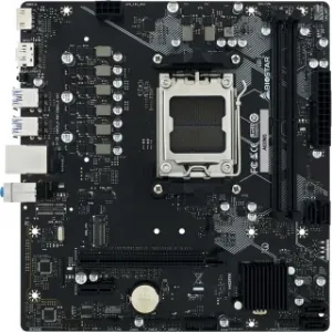 Biostar A620MS