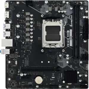 Biostar A620MS
