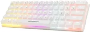 Hadron G508B