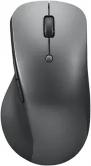 Lenovo Professional