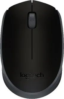 Logitech M171