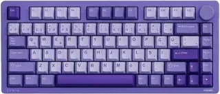 Philips Evnia SPK8618 Purple