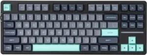 VGN V87