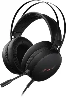 Rapoo VH310