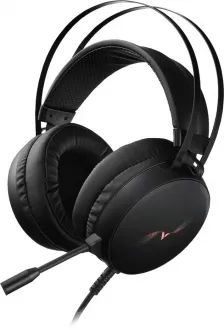 Rapoo VH310