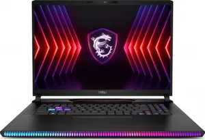 MSI Raider GE78 HX Intel Core i9-14900HX 32GB RAM 17.0 İnç