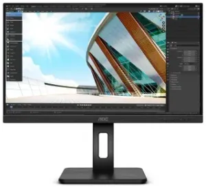 AOC 24P2C
