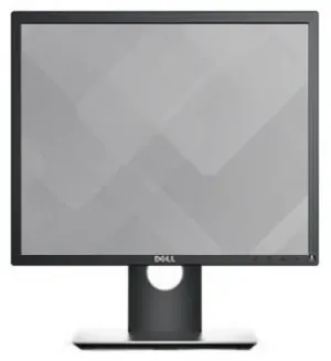 Dell P1917S