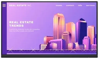 Dell P2222HWOS (Standsız)