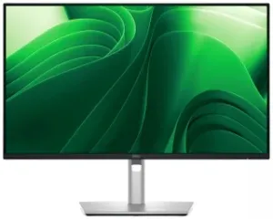 Dell P2425D
