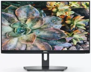 Dell SE2219H