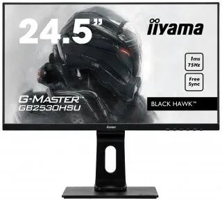Iiyama G-Master GB2530HSU-B1