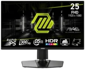 MSI MAG 255PXF