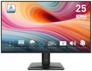 MSI Pro MP251 E2