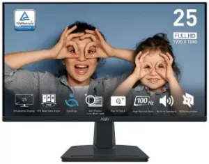 MSI Pro MP251DE