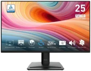 MSI Pro MP252 E2