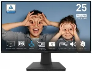 MSI Pro MP252