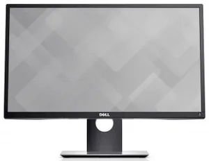 Dell P2417H