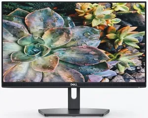 Dell SE2219H