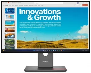Lenovo ThinkVision P24QD-40