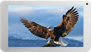 Everest EverPad DC-1111 512MB RAM 8GB