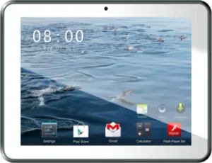 Hometech T800 1GB RAM 8GB