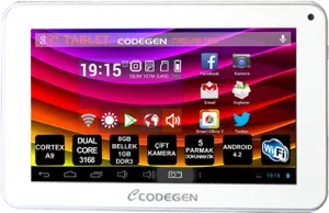 Codegen Dream 77W 1GB RAM 8GB