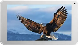 Everest EverPad DC-1111 512MB RAM 8GB